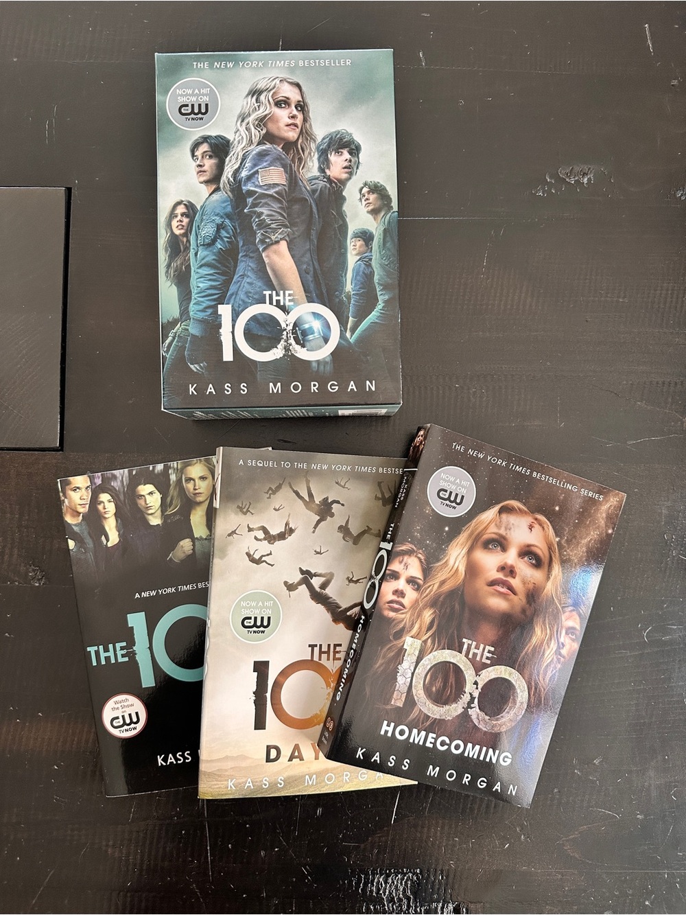 The 100 Book Box Set Collection by Kass Morgan